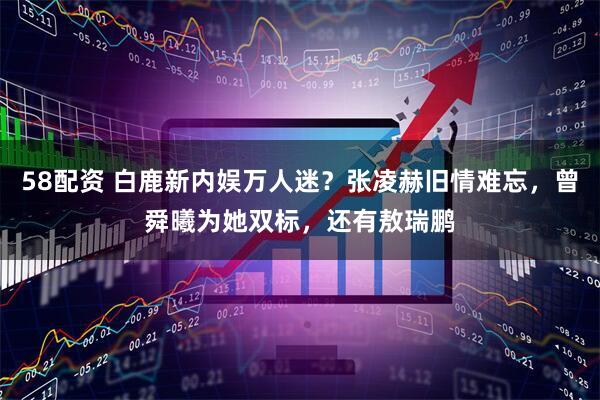 58配资 白鹿新内娱万人迷？张凌赫旧情难忘，曾舜曦为她双标，还有敖瑞鹏